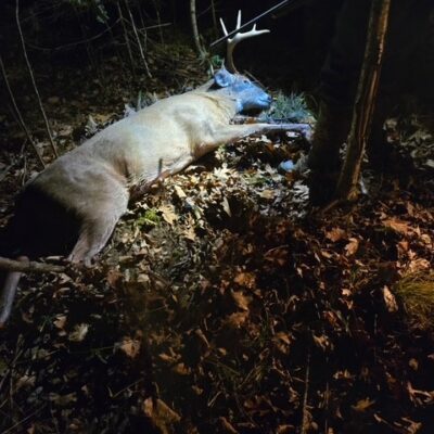 2025 Gun Hunt Pats Buck